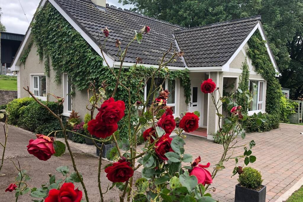 Rhubarb Cottage Enniskillen Exterior photo